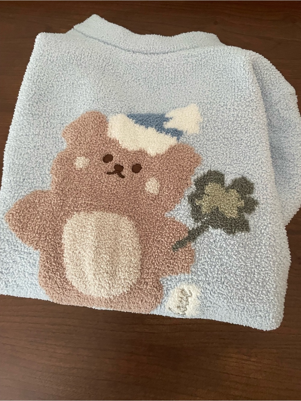 Cozy Blue Teddy Girls Sweater